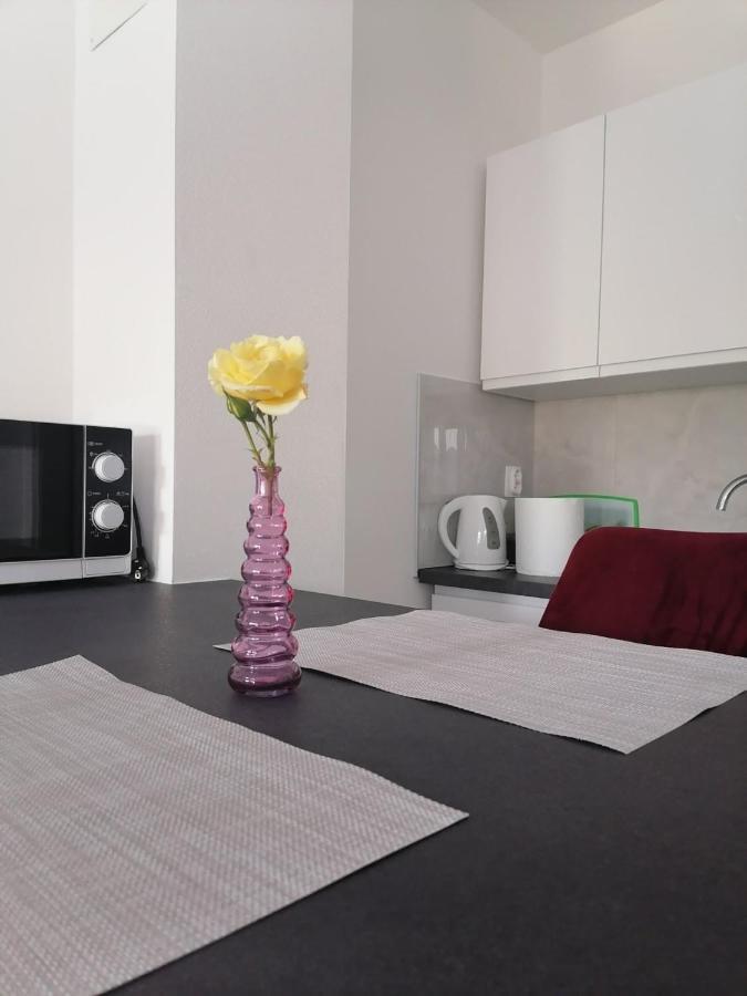 Leona Vidikovac, Apartman Pula