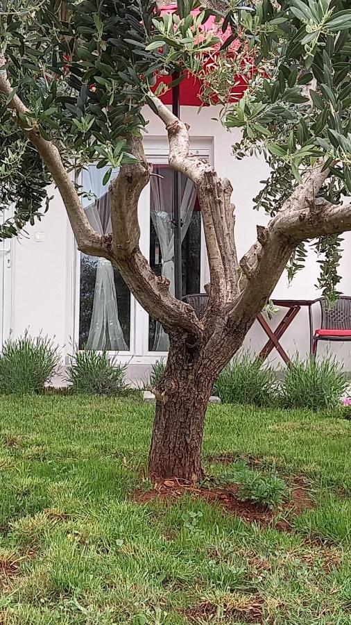 Apartman Leona Vidikovac, *