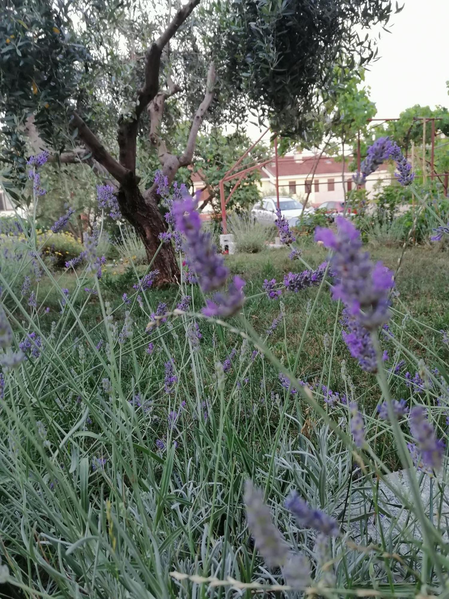 Apartman Leona Vidikovac, Pula